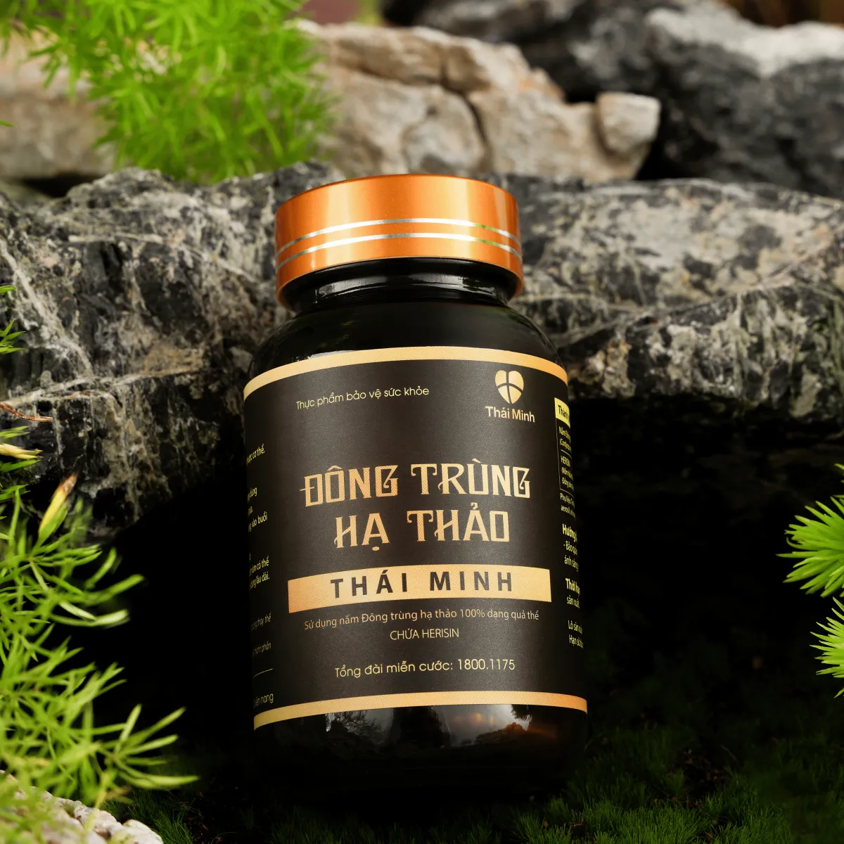 Viên uống Đông trùng hạ thảo Thái Minh