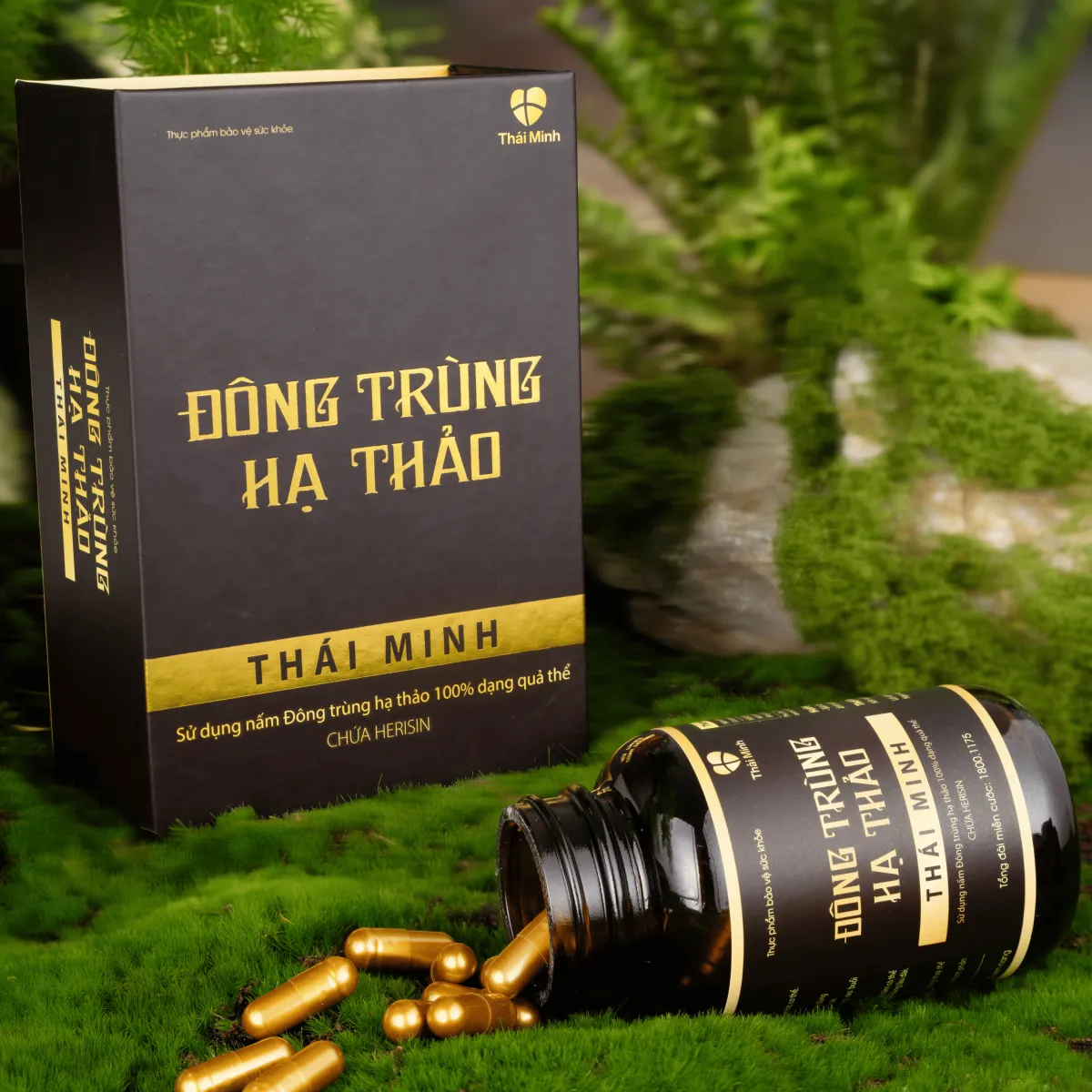 Viên uống Đông trùng hạ thảo Thái Minh