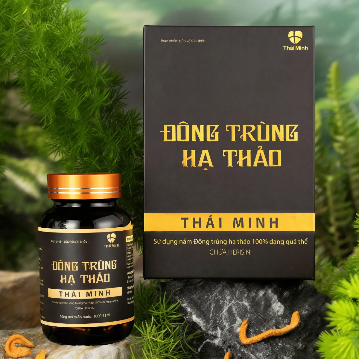 Viên uống Đông trùng hạ thảo Thái Minh