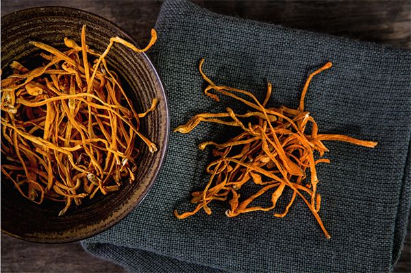 Tinh Hoa Từ Đông Trùng Hạ Thảo