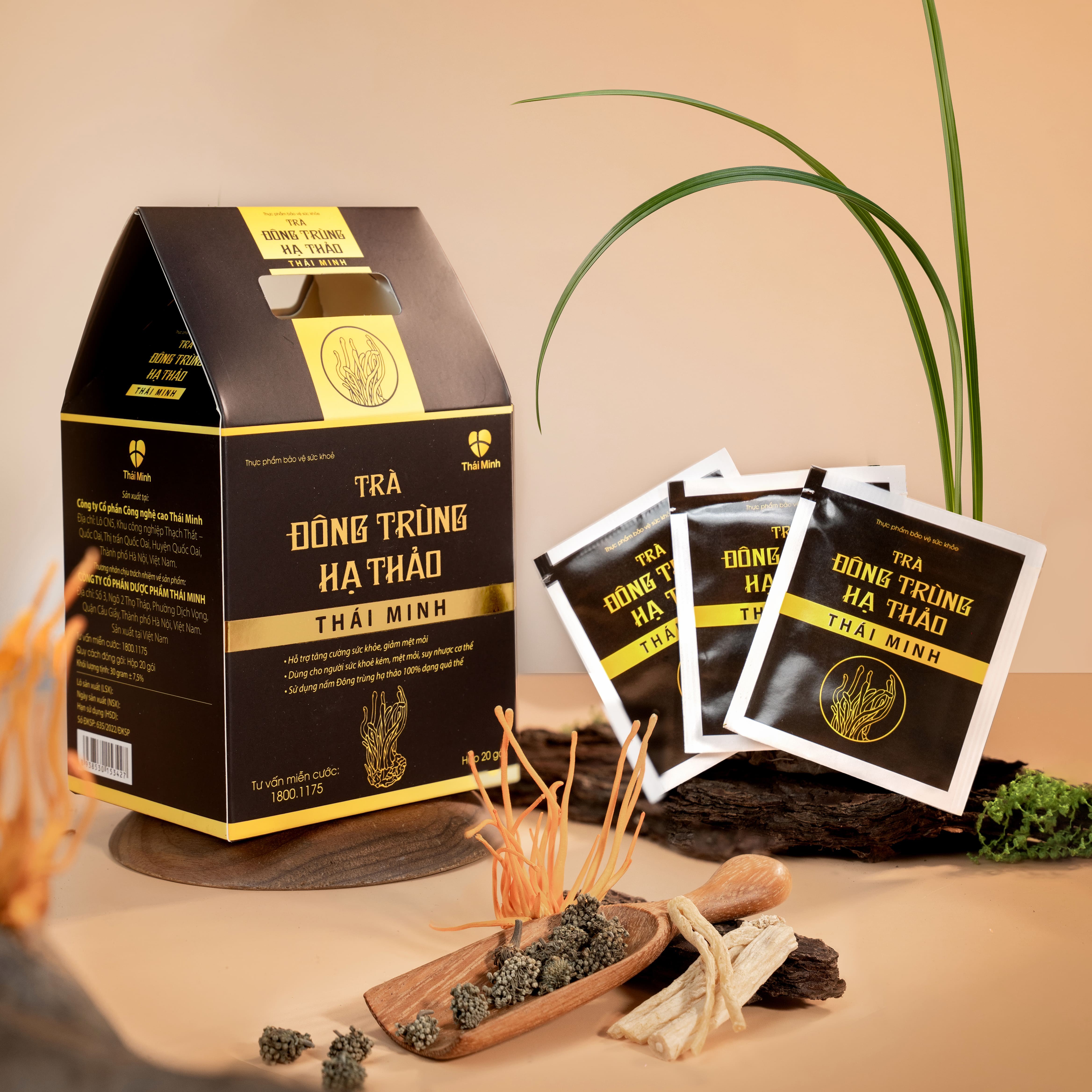 Trà Đông trùng hạ thảo Thái Minh