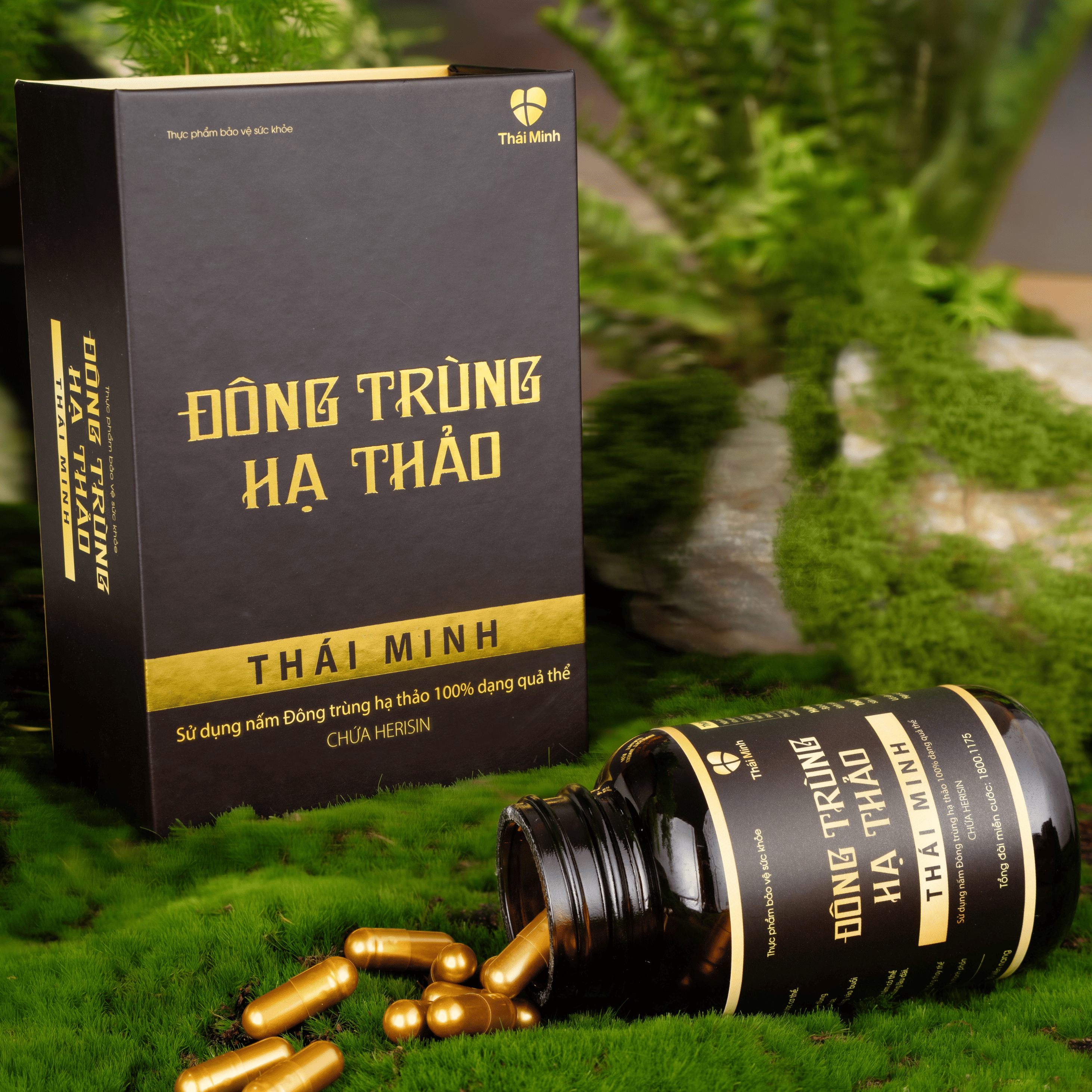 Viên uống Đông trùng hạ thảo Thái Minh