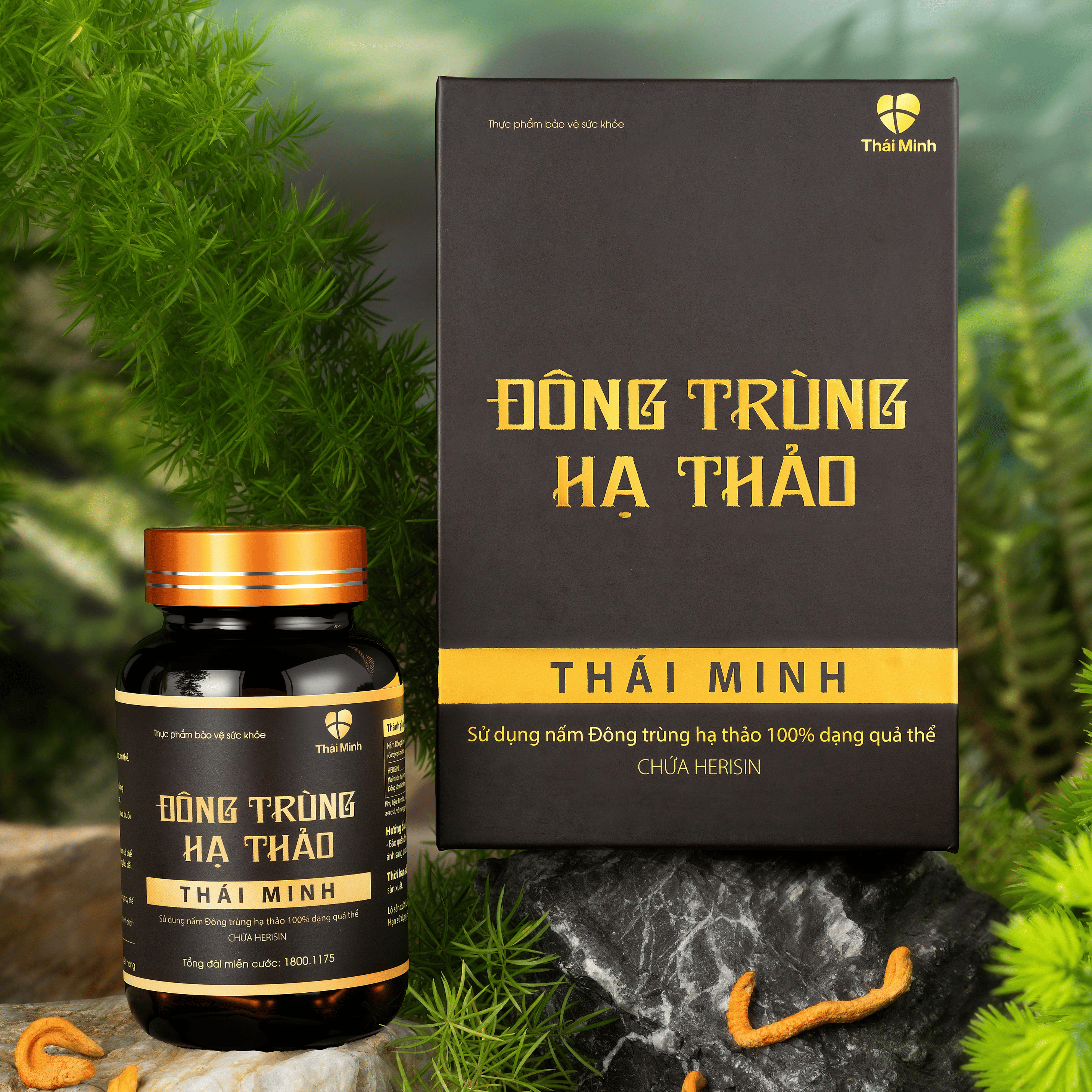 Viên uống Đông trùng hạ thảo Thái Minh