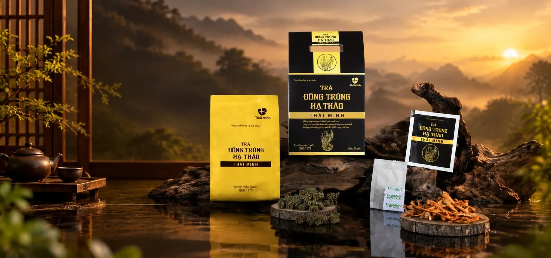 Trà Đông trùng hạ thảo