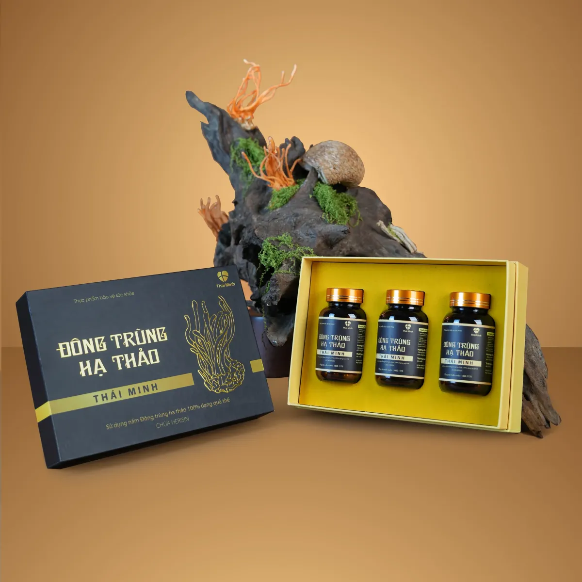 Set 3 lọ viên uống Đông trùng hạ thảo Thái Minh